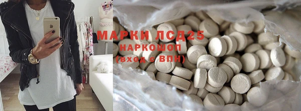 индика Богданович