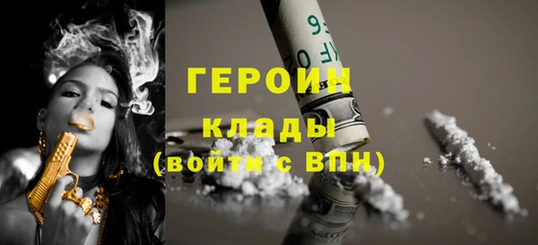 индика Богданович