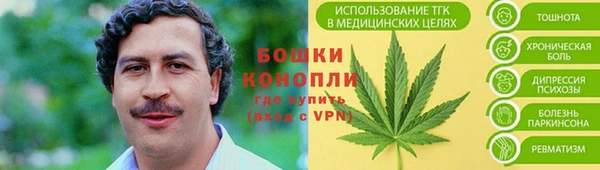 индика Богданович