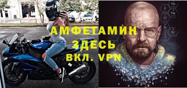 индика Богданович