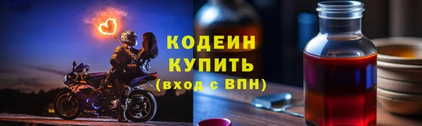 гидра Богородицк