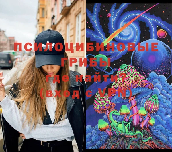 гидра Богородицк