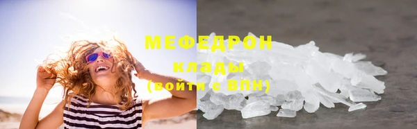 индика Богданович