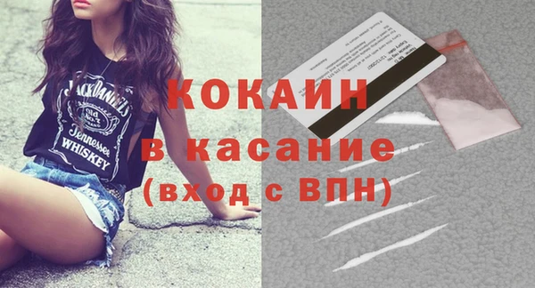 индика Богданович