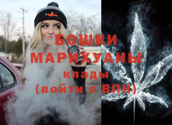 хмурый Белокуриха