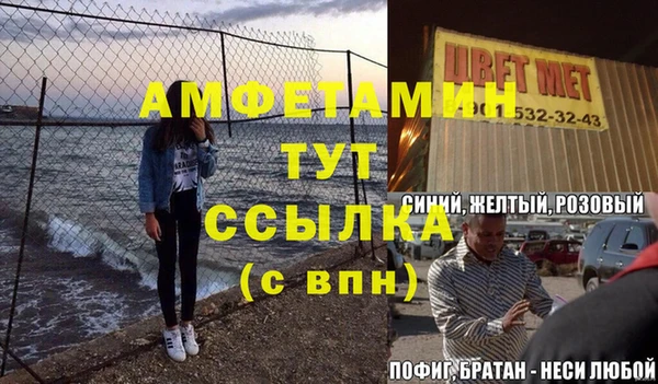 гидра Богородицк