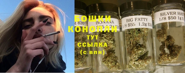 эйфоретик Сосновка