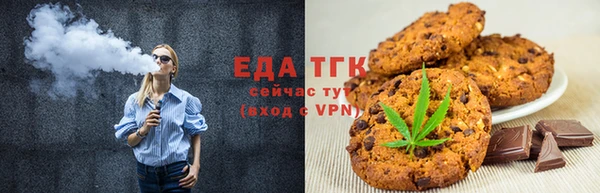 индика Богданович