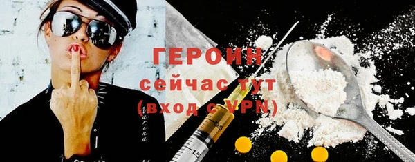 гидра Богородицк