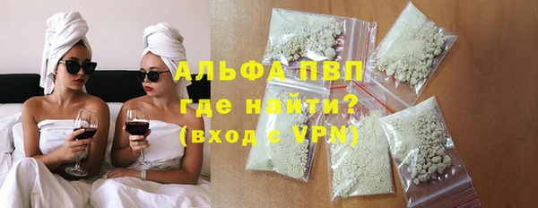 индика Богданович