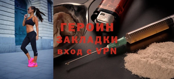 гидра Богородицк