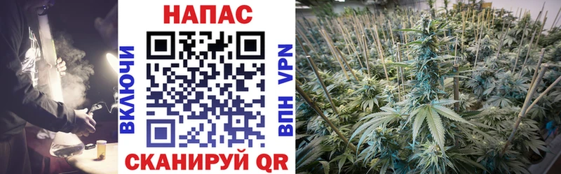 MEGA как зайти  Пестово  Канабис White Widow 